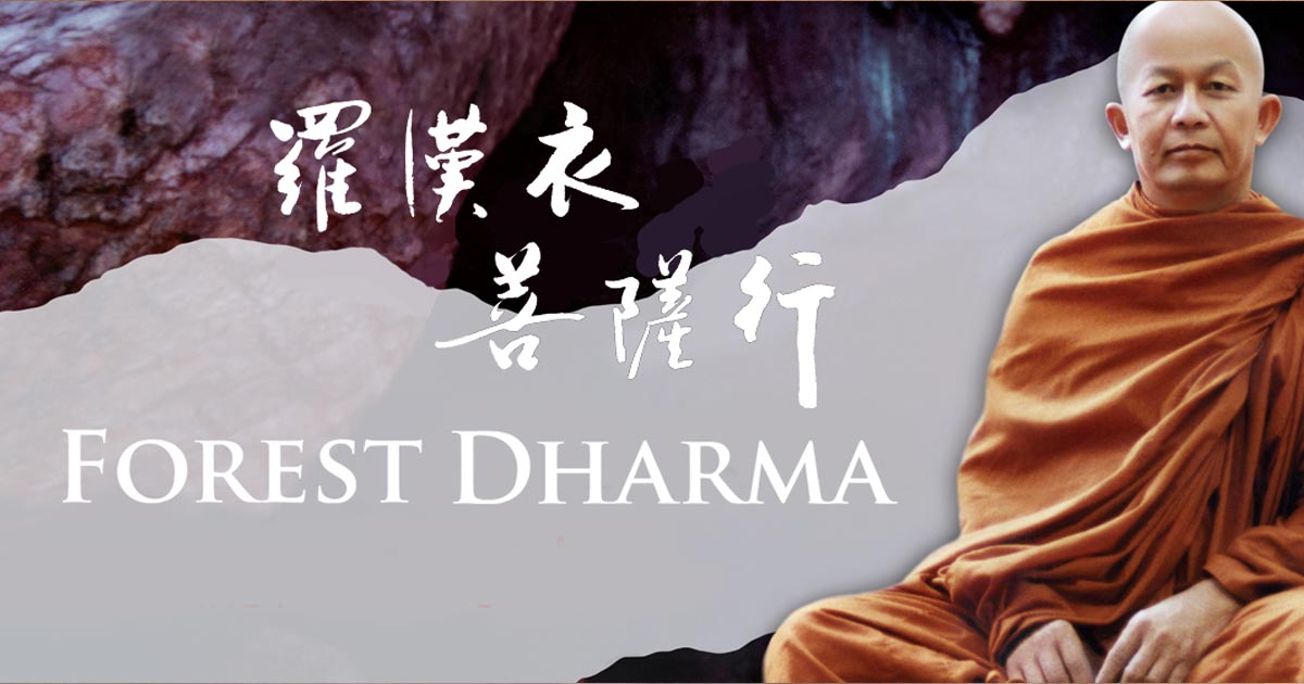 FOREST DHARMA - THUS HAVE I SEEN | 2020
