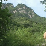 山道 The Mountain Path - Shifu walking in mountain trail - THIS Buddhist Film Festival