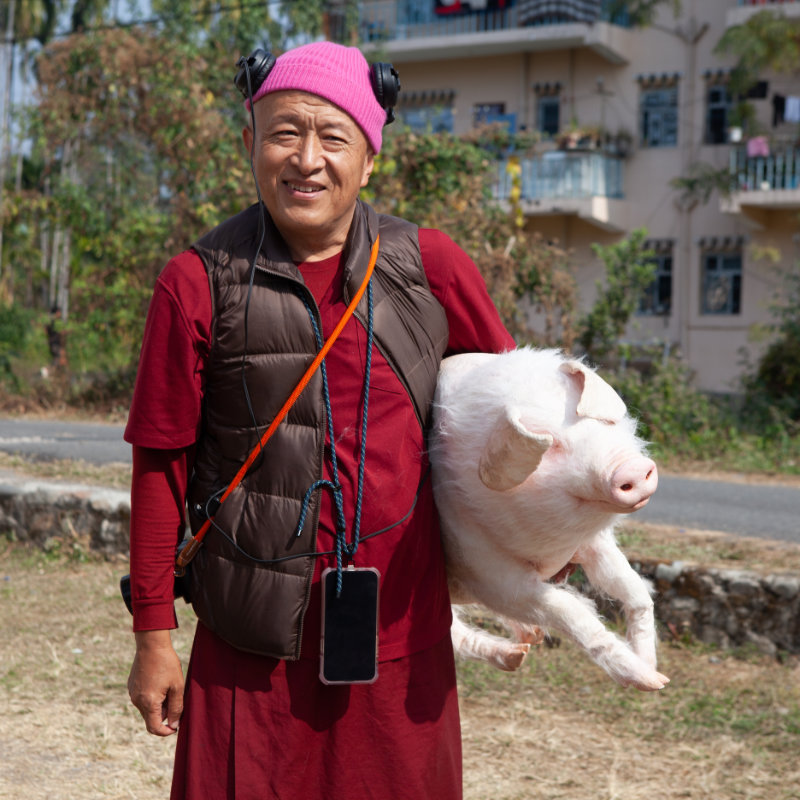Pig at the Crossing - Movie director Khyentse Norbu - THIS Buddhist Film Festival